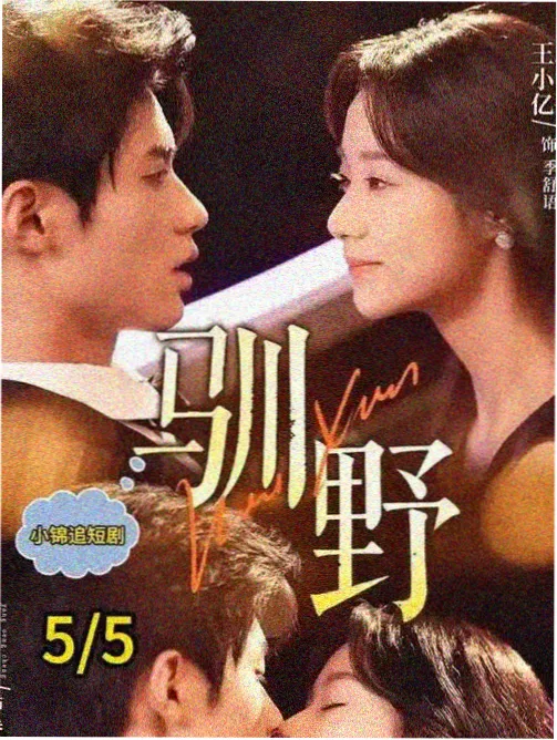 悟空短剧单元夜航放映员海报